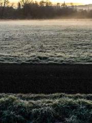 The Poisonous Doctor