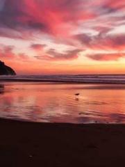 Professor Yan is goi