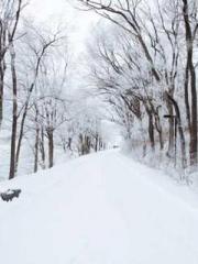 lt;Liang Yimo Cold N