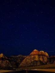 Professor Yan is goi