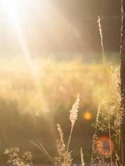 lt;Honor calls for N