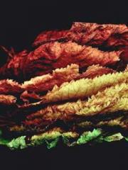 lt;Honor calls for N