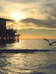 lt;Honor calls for N