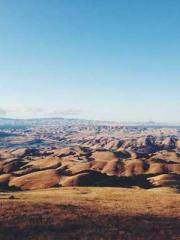 The Taoist nun was f