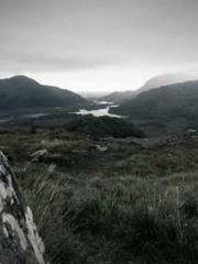 After Transmigrating