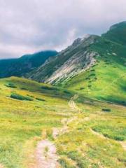 Professor Yan is goi