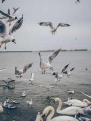 My stunning aunt lt;