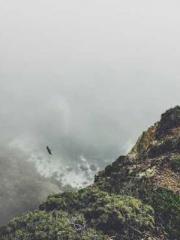 Professor Yan is goi