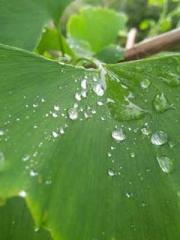 lt;lt;Legend of Yunx