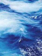 My Amazing Female Te