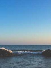 lt;Gingerly, Shen Qi