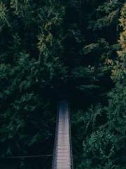 The Best Little Body