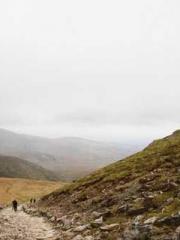 Fu Zi Mo Qin Luo Yan