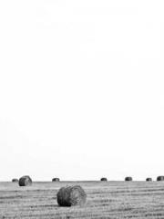 The Taoist nun was f