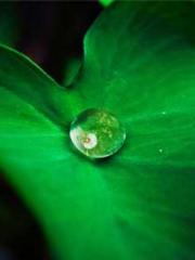 The Sovereign of the