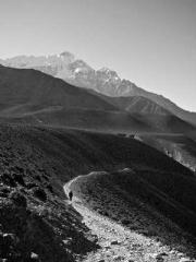 lt;lt;lt;The Absolut