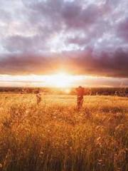 Falling for You: The