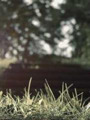 Rebirth of the Urban