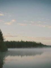 Grave Robbing: Openi