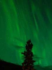 The Legend of the Dr