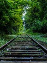 Super husband Lin Xi