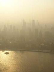 Eternal Sword Ancest