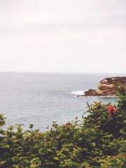 lt;Honor calls for N