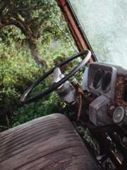 I have seven fairy g