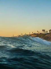 The Imperial Concubi