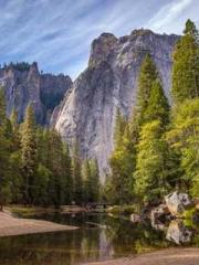 Falling for You: The