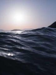 lt;Liang Yimo Cold N