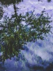 Rong Zhao, male, Nin