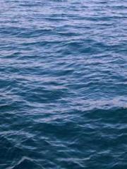 Professor Yan is goi