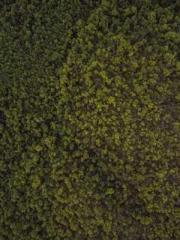 Girlfriends  lt;/pgt