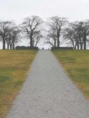 I Picked Up a Cultiv