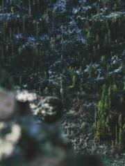 lt;gt;The son of a w