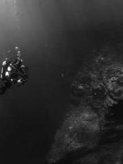 Transmigration: Feel