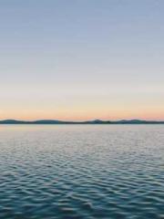 The Daring Wife of a