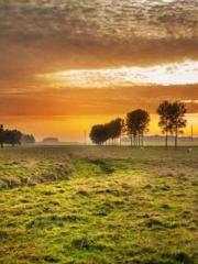 Transmigration: Feel