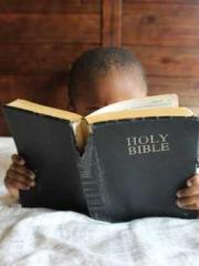 A Lifetime of Captiv